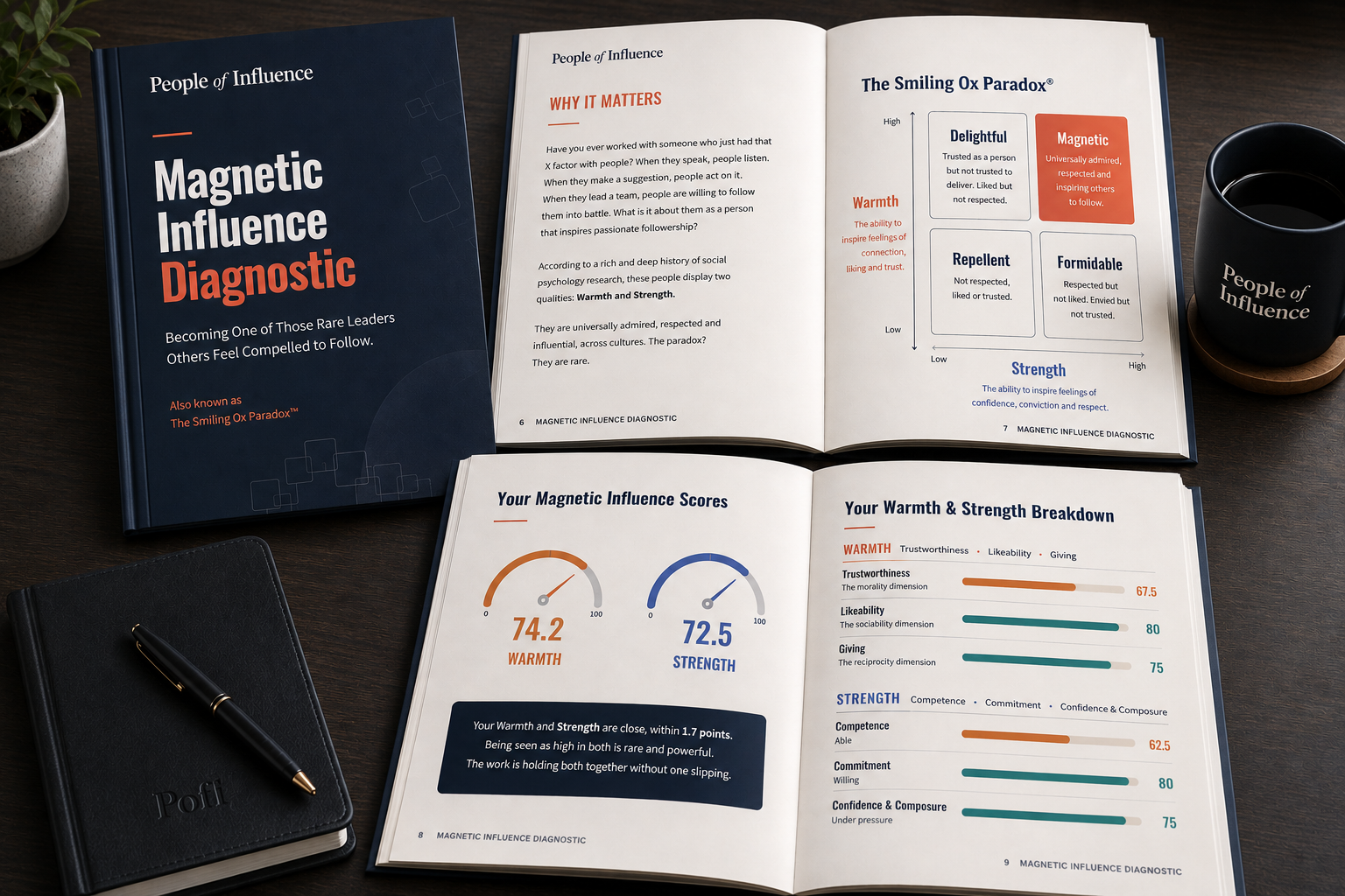 Magnetic Influence Diagnostic report